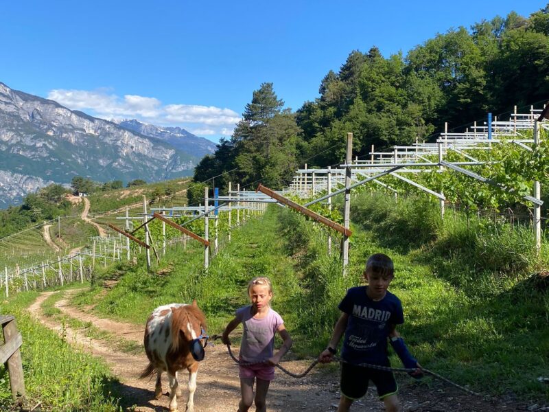 Agritur Maso Librar - Agriturismo Trentino